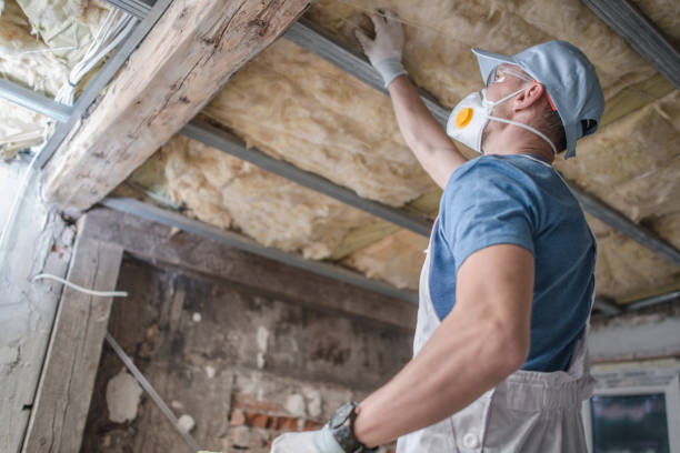 Best Crawl Space Insulation  in Gainesville, FL