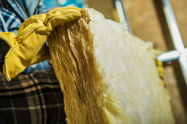 Best Insulation for New Construction  in Gainesville, FL