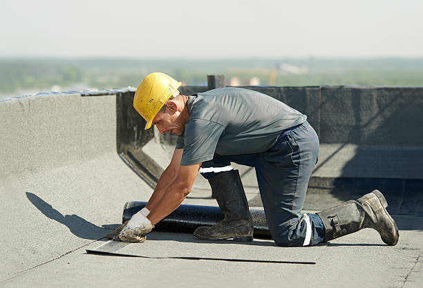 Best Commercial Insulation Contractor  in Gainesville, FL