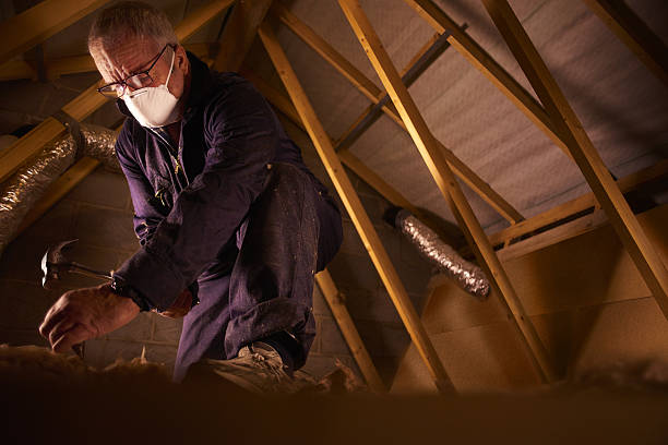 Best Fiberglass Insulation  in Gainesville, FL