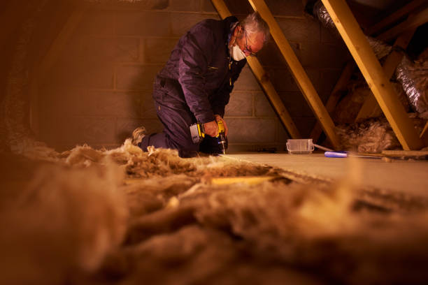 Best Blown-in Insulation  in Gainesville, FL